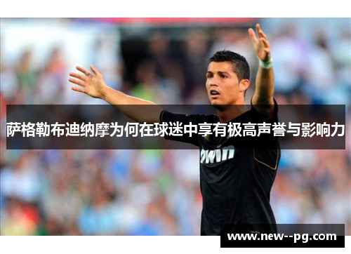 萨格勒布迪纳摩为何在球迷中享有极高声誉与影响力