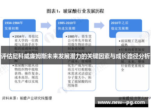 评估尼科威廉姆斯未来发展潜力的关键因素与成长路径分析
