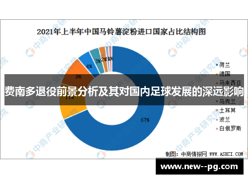 费南多退役前景分析及其对国内足球发展的深远影响