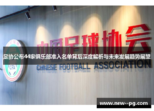 足协公布44家俱乐部准入名单背后深度解析与未来发展趋势展望