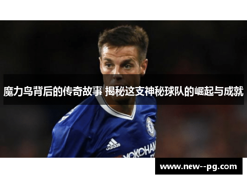 魔力鸟背后的传奇故事 揭秘这支神秘球队的崛起与成就